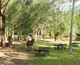 Port Macquarie Horse Riding Centre - Accommodation Mount Tamborine 6