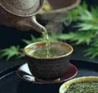 World Par-TEA - Accommodation Mount Tamborine