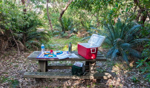 Broadwater Beach Picnic Area - Accommodation Mount Tamborine 0