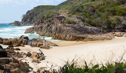 Little Bay Beach - Accommodation Mount Tamborine 3