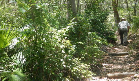 Bridle Trail - Accommodation Mount Tamborine 0