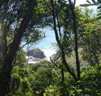 Rainforest walking track - Accommodation Mount Tamborine