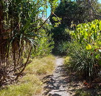 North Head walking track - Accommodation Mount Tamborine
