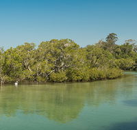 Tyagarah Nature Reserve - Accommodation Mount Tamborine