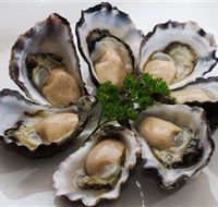 Tathra Oysters - Accommodation Mount Tamborine