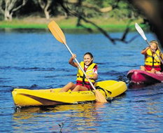 Book Lennox Head NSW Attractions Accommodation Mount Tamborine Accommodation Mount Tamborine