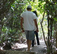 Three Sisters walking track - Accommodation Mount Tamborine