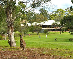 Pambula Merimbula Golf Club - Accommodation Mount Tamborine 0