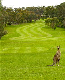 Pambula Merimbula Golf Club - Accommodation Mount Tamborine 2