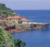 Merimbula Aquarium - Accommodation Mount Tamborine