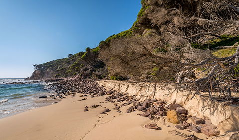 Terrace Beach And Lennards Island - Accommodation Mount Tamborine 2