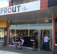 Sprout Eden - Accommodation Mount Tamborine