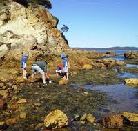 Sapphire Coast Marine Discovery Centre - Accommodation Mount Tamborine