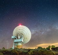 OTC Dish - Accommodation Mount Tamborine