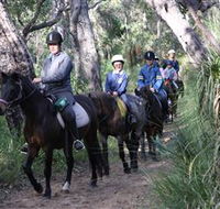 Mirravale Horse Riding School - Accommodation Mount Tamborine