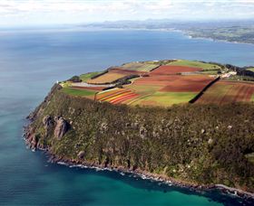 Table Cape - Accommodation Mount Tamborine 0