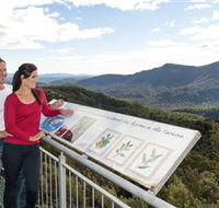 Whyte Hills Lookout - Accommodation Mount Tamborine
