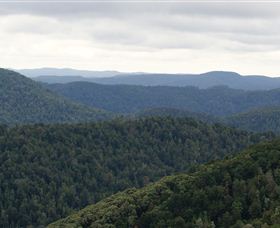 Whyte Hills Lookout - Accommodation Mount Tamborine 1