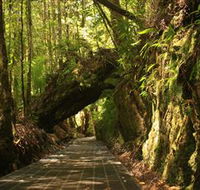 Philosopher Falls - Accommodation Mount Tamborine