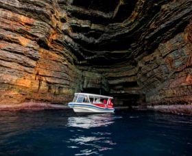 Extreme - Accommodation Mount Tamborine 4