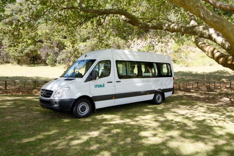 Maui Motorhomes - Accommodation Mount Tamborine 7