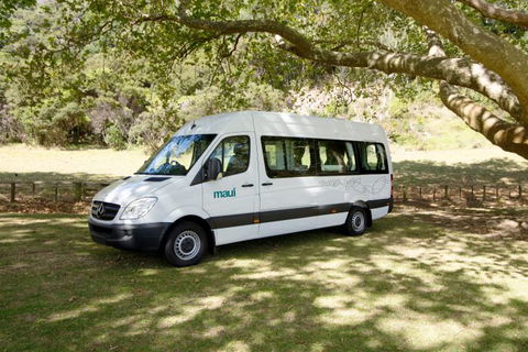 Maui Motorhomes - Accommodation Mount Tamborine 8