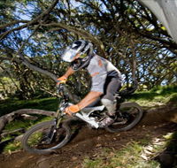 All Terrain Cycles - Accommodation Mount Tamborine