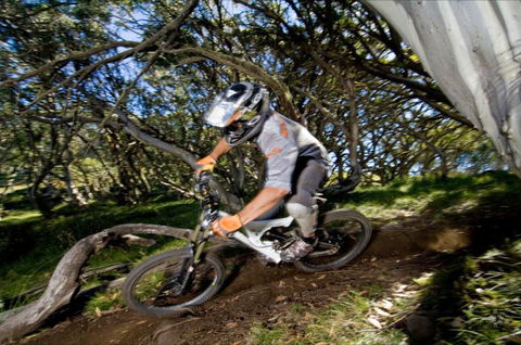 All Terrain Cycles - Accommodation Mount Tamborine 0
