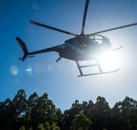 Tall Timbers Adventure Tours - Accommodation Mount Tamborine