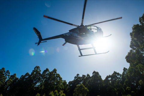 Tall Timbers Adventure Tours - Accommodation Mount Tamborine 3