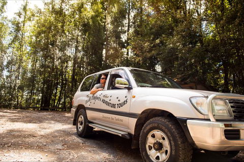 Tall Timbers Adventure Tours - Accommodation Mount Tamborine 8