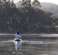 Kiah Wilderness Tours - Accommodation Mount Tamborine