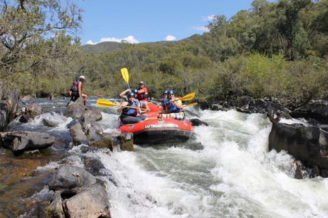 Rafting Australia - Accommodation Mount Tamborine 2