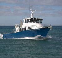 Southern Coast Charters - Accommodation Mount Tamborine