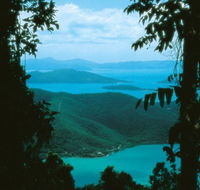 Conway Circuit - Accommodation Mount Tamborine