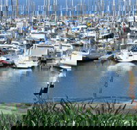 Southern Moreton Bay Tourist Drive - Accommodation Mount Tamborine