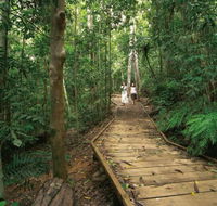 Lake Barrine Circuit Track Crater Lakes National Park - Accommodation Mount Tamborine