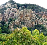 Mount Greville Track - Accommodation Mount Tamborine
