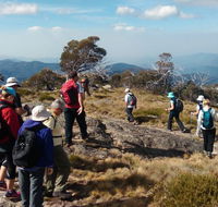 Hedonistic Hiking - Accommodation Mount Tamborine
