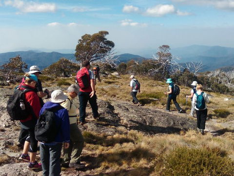 Hedonistic Hiking - Accommodation Mount Tamborine 0