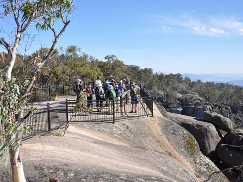 Hedonistic Hiking - Accommodation Mount Tamborine 1