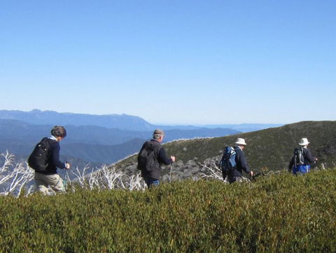 Hedonistic Hiking - Accommodation Mount Tamborine 5