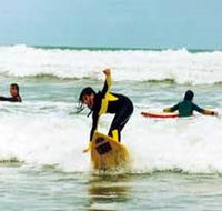 Surf Culture Australia - Accommodation Mount Tamborine