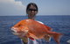 Absolute Ocean Charters - thumb 7