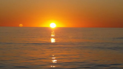 Absolute Ocean Charters - Accommodation Mount Tamborine 13