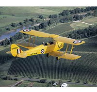 Royal Newcastle Aero Club - Accommodation Mount Tamborine
