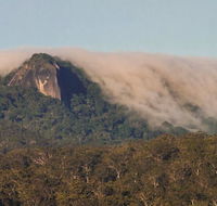 North Queensland Wildscapes Phototours - Accommodation Mount Tamborine