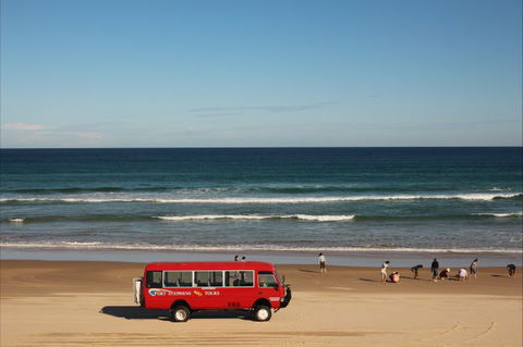 Port Stephens 4WD Tours - Accommodation Mount Tamborine 8