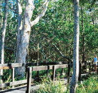 Kinaba Track - Accommodation Mount Tamborine