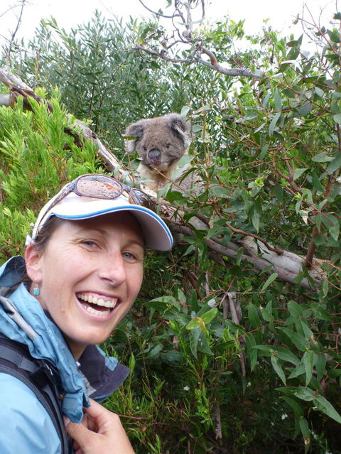 Auswalk Walking Holidays - Accommodation Mount Tamborine 7